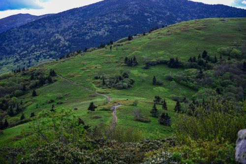 A scenic view of rolling green hills and a winding path, surrounded by trees and mountains under a cloudy sky.