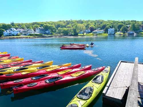 Colorful kayaks lined up on a dock, with a person paddling in the water and houses in the background.