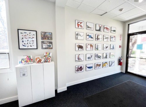 A bright entryway featuring a wall of animal illustrations and a display of children's books on a white cabinet.