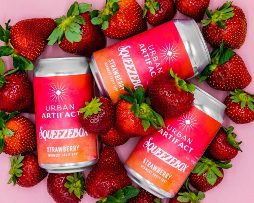 Three cans of Urban Artifact Squeezebox Strawberry beer surrounded by fresh strawberries on a pink background.