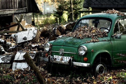 An old green car covered in autumn leaves, surrounded by logs and a rustic wooden structure in a serene outdoor setting.