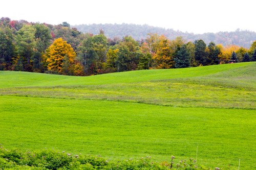 Lush green fields with rolling hills, surrounded by trees displaying autumn colors in the background.