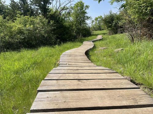 A winding wooden pathway through lush green grass and trees under a clear blue sky.