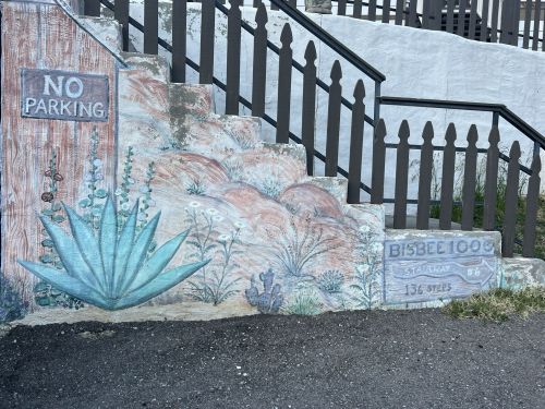 Colorful mural on stairs featuring cacti and plants, with signs for "No Parking" and "Bisbee 1000 Stairway."