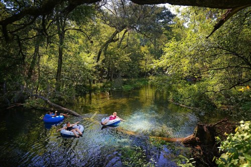 Two people float on inflatable boats in a serene, green forested river surrounded by lush trees.