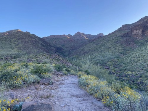 A rocky path leads through a lush green valley surrounded by mountains under a clear blue sky. Wildflowers bloom along the trail.