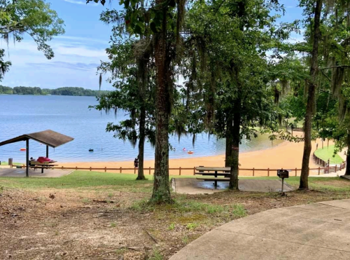 A serene lakeside view with sandy beach, trees, and a few people enjoying the water on a sunny day.