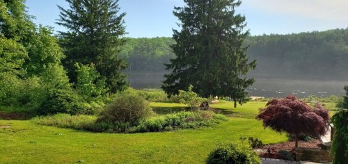 Lush green landscape with trees and a calm lake in the background, under a clear blue sky.