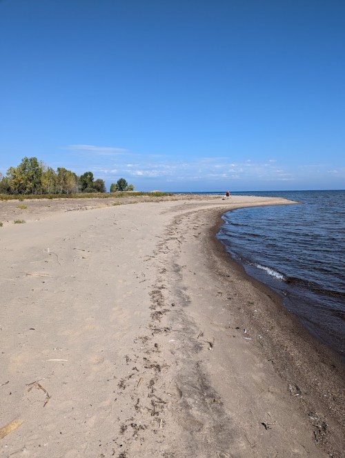 A sandy beach curves along a calm lake under a clear blue sky, with trees in the background and a distant figure walking.
