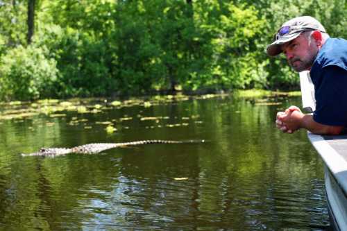 A man leans over a boat, observing a crocodile swimming in a calm, green-tinted waterway surrounded by lush vegetation.