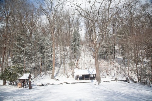 A snowy landscape with bare trees and a small shelter in a forested area.