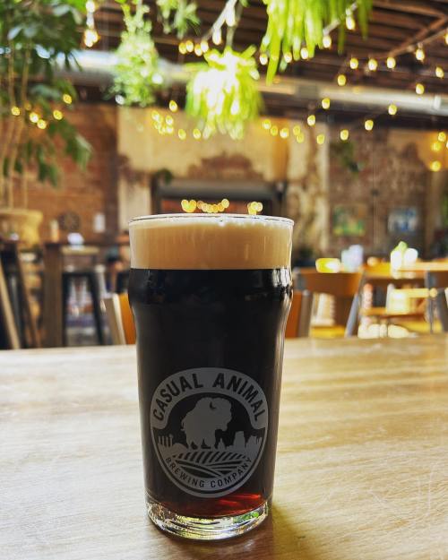 A dark beer in a glass with a logo sits on a wooden table, surrounded by greenery and warm string lights in a cozy brewery.