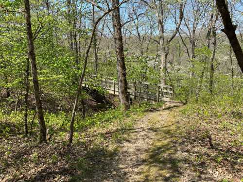 A dirt path leads through a lush green forest, with a wooden bridge crossing a small stream in the background.