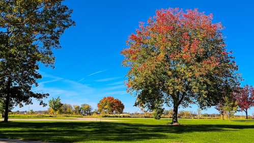 A vibrant landscape featuring trees with autumn foliage against a clear blue sky and green grass.