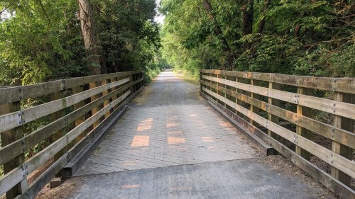 A wooden bridge over a path surrounded by lush greenery, leading into a serene forested area.