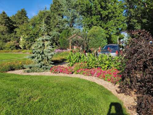 A landscaped garden with colorful flowers, shrubs, and a car parked nearby under a clear blue sky.