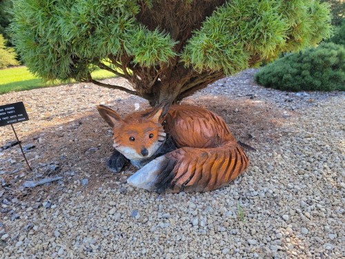 A wooden sculpture of a fox curled up under a bush, surrounded by gravel and greenery.
