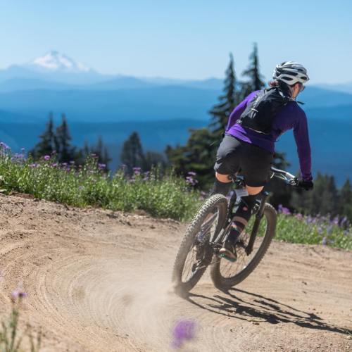 A cyclist in purple gear rides on a dirt trail surrounded by wildflowers and mountains in the background.