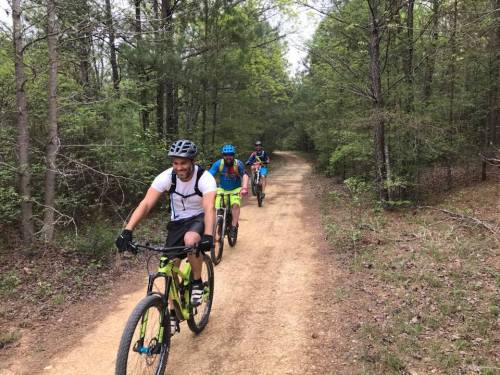Three cyclists riding mountain bikes on a dirt trail through a lush green forest.