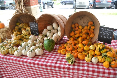 Baskets of various pumpkins and gourds on a checkered tablecloth, with price signs for each type.