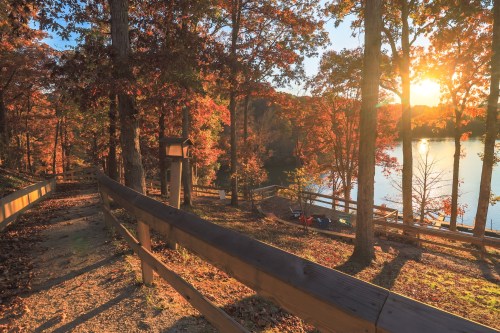 A serene autumn scene with colorful trees, a wooden path, and a sunset reflecting on a calm lake.
