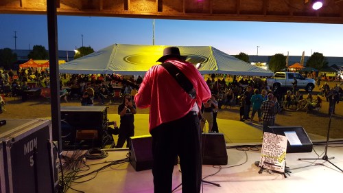 A musician in a pink shirt performs on stage, with a large crowd enjoying the event under a twilight sky.