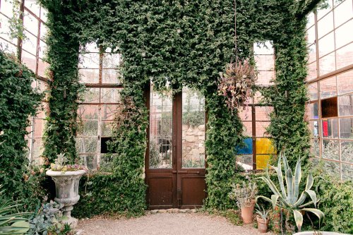 A lush greenhouse with ivy-covered walls, featuring a wooden door and various potted plants.