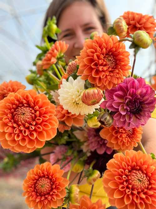 A person holds a vibrant bouquet of orange, pink, and white flowers in a greenhouse setting.