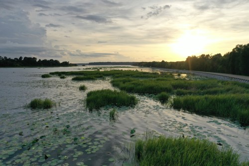 A serene landscape featuring a river with lush green vegetation and a sunset casting warm light over the scene.
