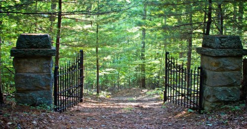 A pair of wrought iron gates stands open, leading into a lush, green forest path surrounded by tall trees.