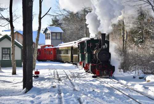 A steam train puffs smoke as it travels through a snowy landscape, surrounded by trees and quaint buildings.