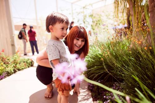 A woman and a young boy admire flowers in a garden, smiling and enjoying their time together.