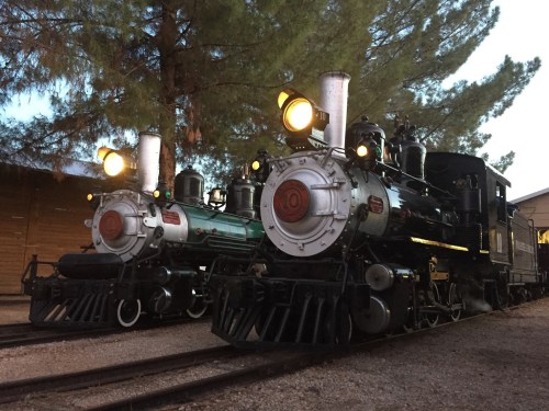 Two vintage steam locomotives parked on tracks, illuminated by their front lights, surrounded by tall pine trees.