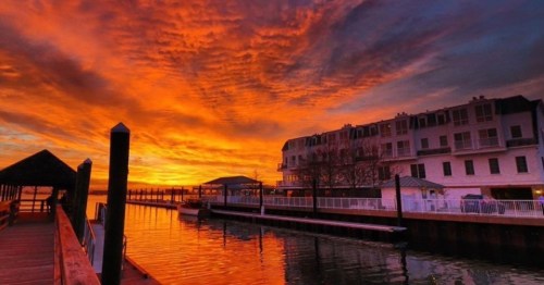 A vibrant sunset casts orange and purple hues over a calm waterfront, with buildings and a pier in the foreground.