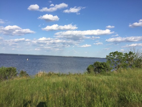 A serene lakeside view with green grass in the foreground and fluffy clouds in a blue sky above.