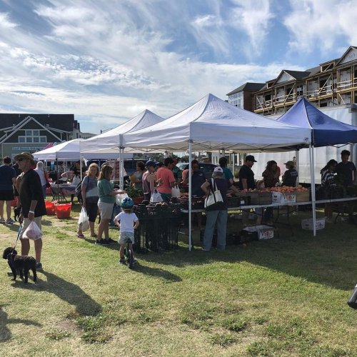 A bustling outdoor market with tents, vendors, and shoppers, including children and dogs, under a clear blue sky.