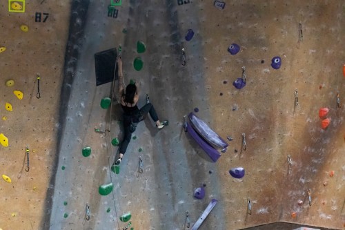 A climber ascends a colorful indoor rock wall, using green and purple holds, with safety gear attached.