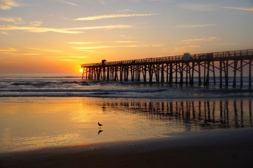 A serene sunset over a pier, with golden hues reflecting on the water and a lone bird on the beach.