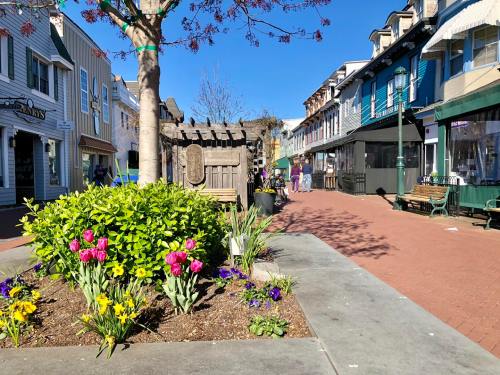 A sunny street scene with colorful flowers, benches, and shops lining the walkway in a quaint town.