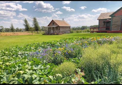 A rustic log cabin surrounded by a vibrant garden of flowers and vegetables under a sunny sky with scattered clouds.