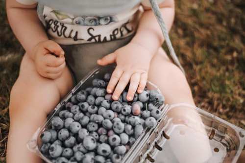 A child sitting on the ground, reaching for a container of fresh blueberries.