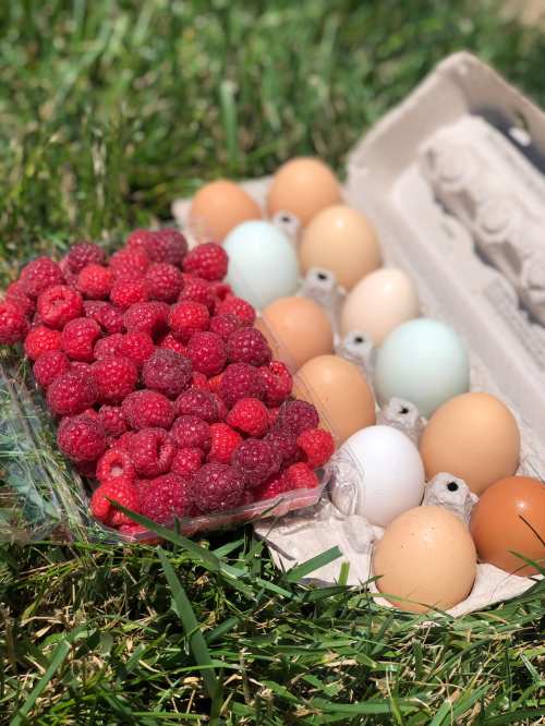 A carton of eggs in various colors next to a pile of fresh raspberries on green grass.