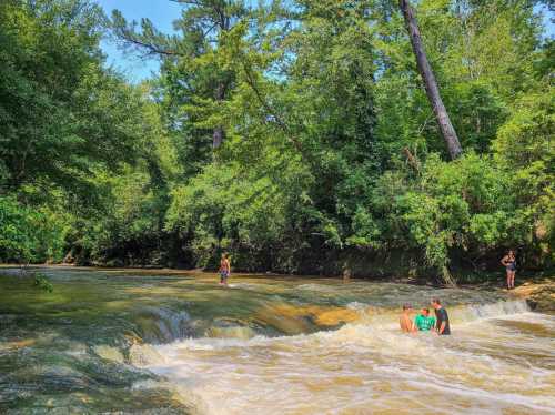 People enjoying a sunny day by a river, with lush green trees and a small waterfall in the background.