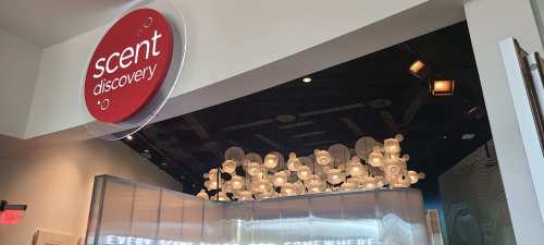 Entrance to a modern space labeled "scent discovery," featuring a unique ceiling design with white circular elements.