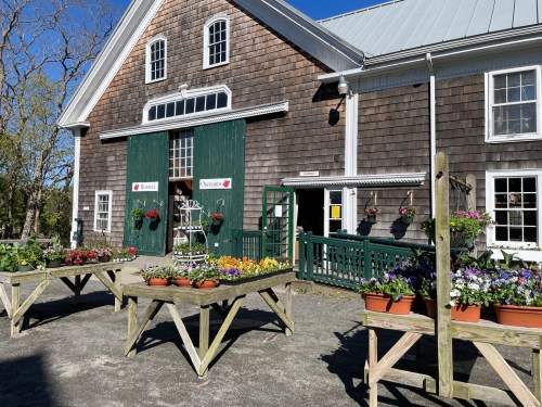 A rustic barn with green doors, surrounded by flower displays on wooden tables under a clear blue sky.