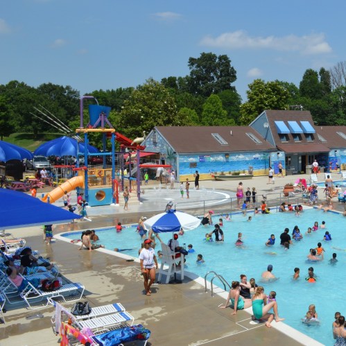 A busy outdoor pool area with families enjoying the water, slides, and sun on a bright day.