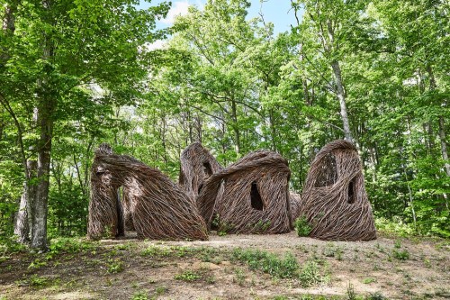 A sculpture made of intertwined branches, resembling abstract figures, set in a lush green forest.