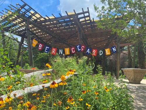 A colorful sign reading "The Bernice Garden" hangs above a vibrant garden filled with yellow flowers and greenery.