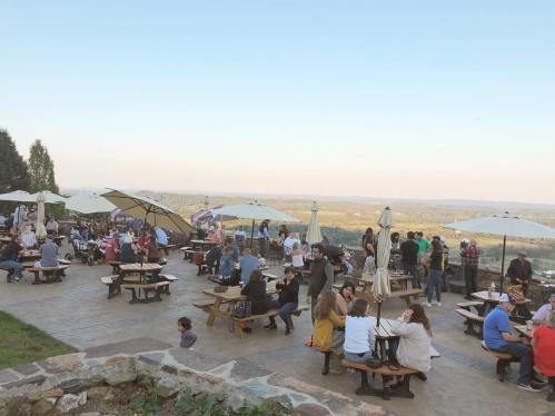 A lively outdoor gathering at a venue with picnic tables, umbrellas, and a scenic view of rolling hills.