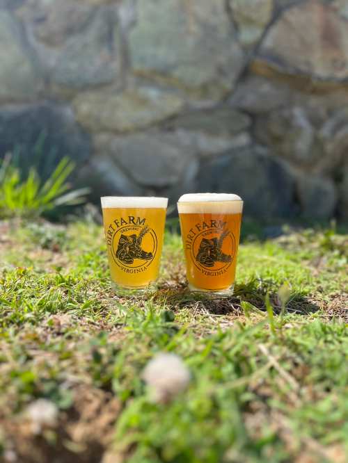 Two glasses of beer with "Dirt Farm Virginia" logo, sitting on grass in front of a stone wall.